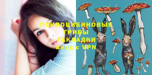 mdpv Алексин