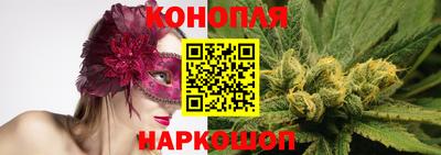 прущие крисы Беслан