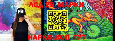 гидропоника Берёзовский