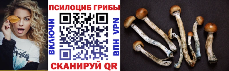 Псилоцибиновые грибы прущие грибы  Ахтубинск 