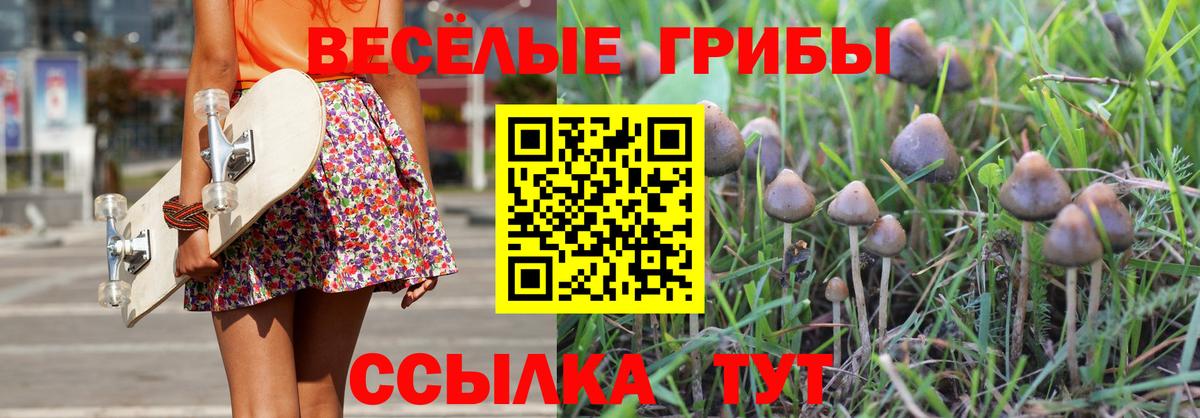 Ахтубинск  Галлюциногенные грибы мухоморы  Вход с VPN  Псилоцибиновые грибы Psilocybe 